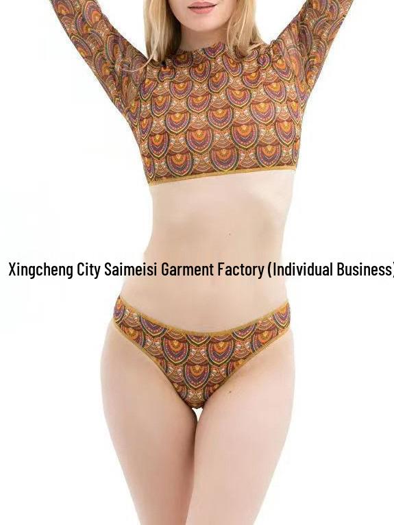 Split Mesh Bikini - European & American Style Sunscreen Swimwear for Women XX-Large