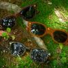 Haibeulou [Grafik: X Hibrow] Bro621 Sunglasses : Woody Amber