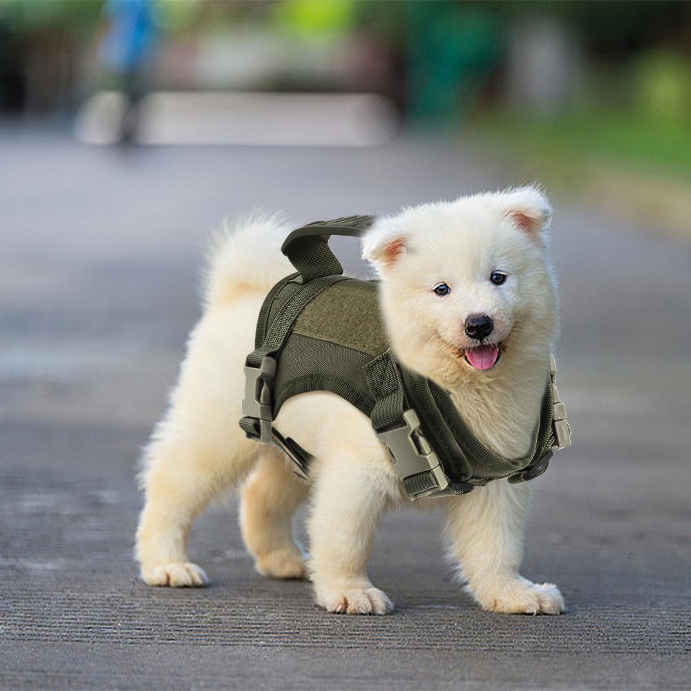 Tactical Puppy Harness For Small Dogs Adjustable Cat Harnesses Vest For Military Service Dogs Training Kitten Cat Accessories