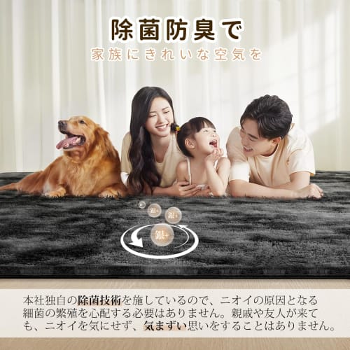 SOMANT Carpet Rug, 1 Tatami Mat, All-Season, Washable, Thick, Antibacterial, Odor-Resistant, Soundproof, Dust Mite Resistant, Shag Rug, Non-Slip, Warm