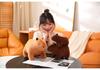 Cute Capybara Plush Toy - Kawaii Stuffed Animal Doll