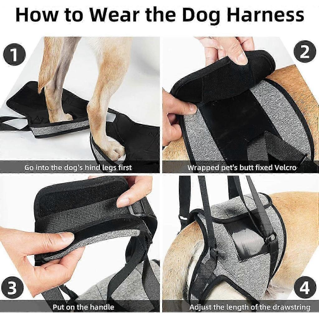 Dog Support Harness for Back Legs Large Dog Harness with Lift Handle Adjustable Puppy Harness for Pain Relief Rehabilitation Surgeries - M 1ytrd