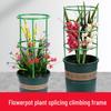Indoor Climbing Plant Support Trellis for Dragon Fruit, Pothos, and Sunflower