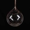 Hanging Glass Propagation Station Clear Terrarium Planter for Flowers Air Hydroponic Plants Small Indoor Flower Vase for Home Room Window Office Decor