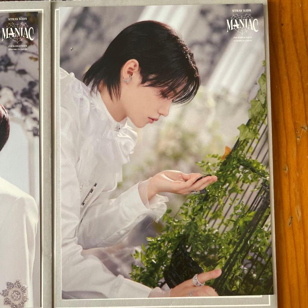 [USED] Limited-time Offer: Stray Kids Maniac Postcard - Felix Han