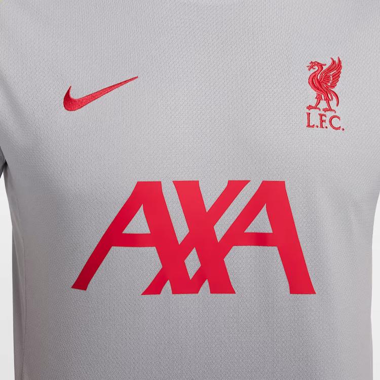 Nike Liverpool Dri-Fit FW24 F.C. Strike Third Knit Pullover Short Sleeve Football Shirt Men tops Light-Smoke-Grey FQ2611-078