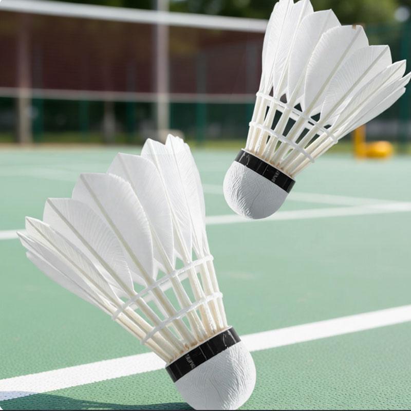 12pcs Feather Badminton Shuttlecocks Great Stability High Speed Badminton Birdies Balls for Sports Training Indoor Outdoor Game