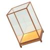 Hochwertige transparente Vitrine für die Heimdekoration Klare Glasbox zur Organisation und zum Schutz von Wertgegenständen Moderner Schreibtisch-Aussteller