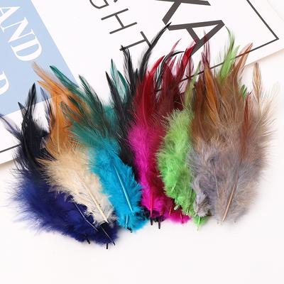 50Pcsdiy Couleur Pointe Rouge Plume Plume de Poulet Accessoires de Bijouterie Décoration Artisanale Matériau Plume Filet à Rêves