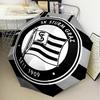 1PC Sturm Graz Crest Emblem Printed Umbrella Folding umbrella, automatic umbrella 8-Frame for Travel, camping Fan gifts Christmas Gifts