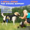 Ginocchiera Regolabile per Cani Supporto Articolare Durevole Staffa di Supporto per la Gamba Design Traspirante Riflettente Protezione per Ferite del Ginocchio dell'Animale Domestico