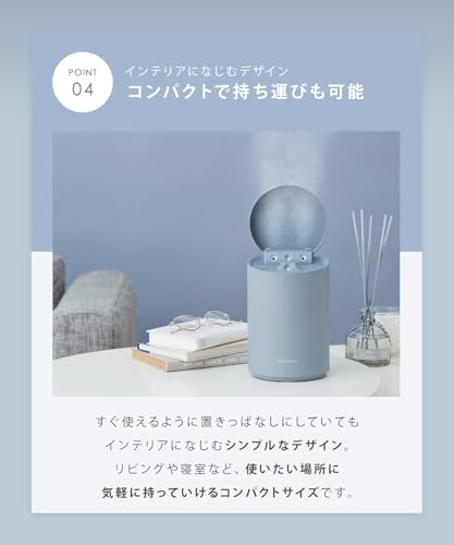 SALONIA Pure Bright Facial Steamer, Facial Steamer, Beige, Amazon.co.jp Exclusive