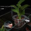 Panier de plante hydroponique transparent support de plante d'aquarium suspension supérieure pot de fleur d'aquarium tasse de pot de fleur d'aquarium
