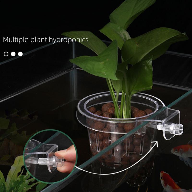 Panier de plante hydroponique transparent support de plante d'aquarium suspension supérieure pot de fleur d'aquarium tasse de pot de fleur d'aquarium