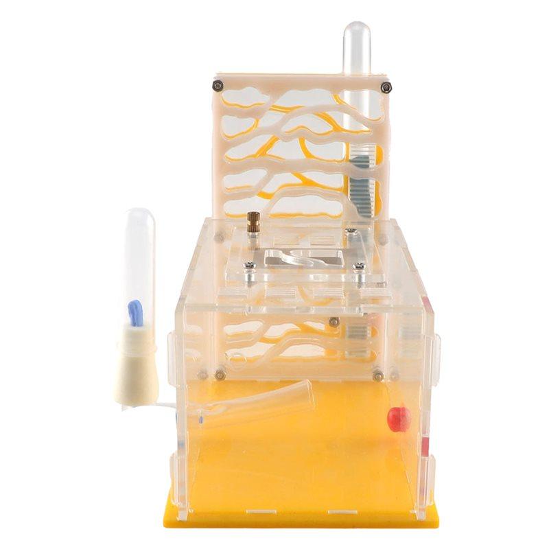 

Мурашник для комах Т-дизайн Зона годування Акрилова ферма Мурашина вілла Будинок Мурашник Подарунок На день народження