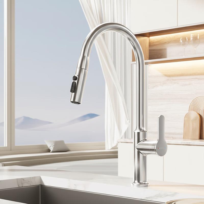 DONGPENG 304 Stainless Steel Pull-Out Kitchen Faucet