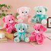 Colorful Plush Bear Doll for Sleeping, Sitting Model Cloth Toy, Perfect Children's Birthday Gift