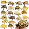 Oenux Sea Life Animals Model Leatherback Tortoise Turtle Growth Cycle Ocean Figurines Action Figures PVC Collection Kid Toy Gift