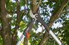 COMFORT SC BRANCH SHEARS - HG-08773-20