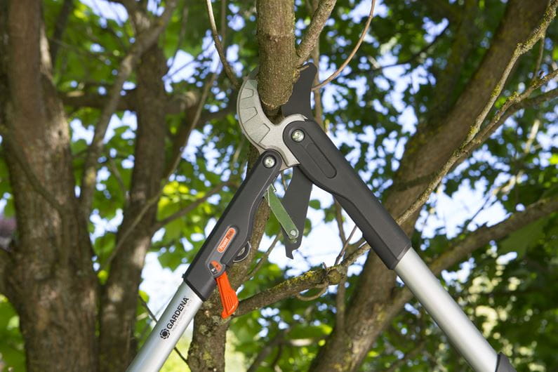 COMFORT SC BRANCH SHEARS - HG-08773-20