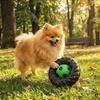 Chew-Resistant Tire-Shaped Dog Toy Elasticity Dog Chew Wheel Toy Molar Toys  Indoor Play