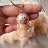Clear Cat Hair Storage Keychain Pendant