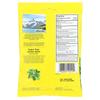 Oral Anesthetic, Sugar Free, Lemon Mint, 1.1 Mg, 19 Packets