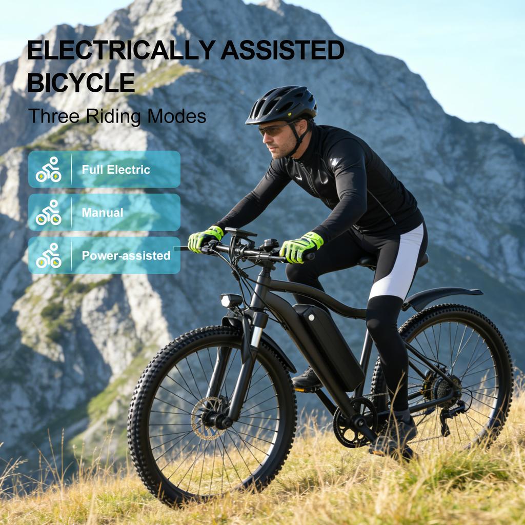 G73 Elektrické kolo pro dospělé, 250W48V13Ah Elektrické kolo pro venkovní jízdy.