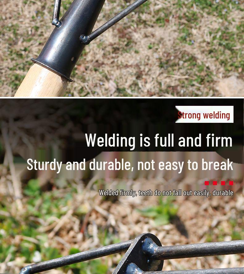 Five-Tooth All-Steel Rake for Beach, Clam Digging, and Gathering Seafood