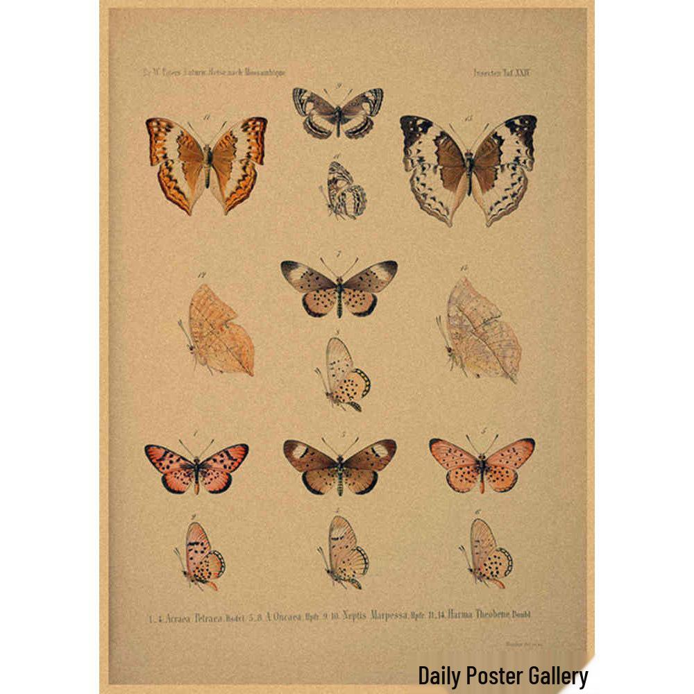 Retro Schmetterlings-Illustrationsposter: Handbemalte Tier-Wandkunst im Vintage-Stil, europäisch & amerikanisch