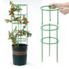 Plastic Plant Flower Stand Support Ring and Rod for Indoor/Balcony Climbing Plants