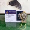 Thai Buddhist Multi-Armed Ganesha Amulet Pendant with Authentication Card