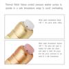 2 Pieces Thermal Release Valve for Pressure Washer Pump, 1/4 Inch NPT Thermal Relief Valve, Replacement Pump Protector