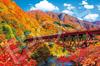 Epoch 1000-piece Jigsaw Puzzle: Kurobe Gorge and the Trolley Train On a Clear Autumn Day - Toyama (50x75cm) 09-053s, Includes Glue, Spatula, and