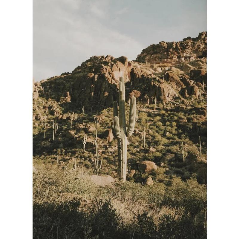 

Винтажные постеры и принты с пейзажами Аризоны Каньон Антилопы Кактус Пустыня Холст Картина Настенное искусство Изображение для комнаты Домашний декор 21cm×30cm NoFrame