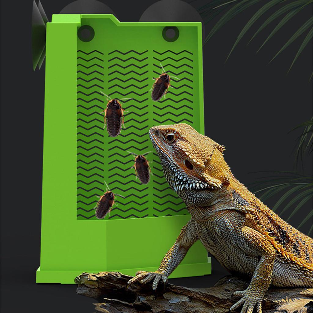 Eck-Futterbox für Reptilien mit Saugnäpfen, zur Wandmontage, Terrarium-Futternapf für Eidechsen, Leguane, Geckos, Heimtierbedarf
