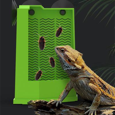 Space Saving Reptile Feeder With Strong Suction Cups Wall Mounted Terrarium Corner Feeder For Bearded Dragons