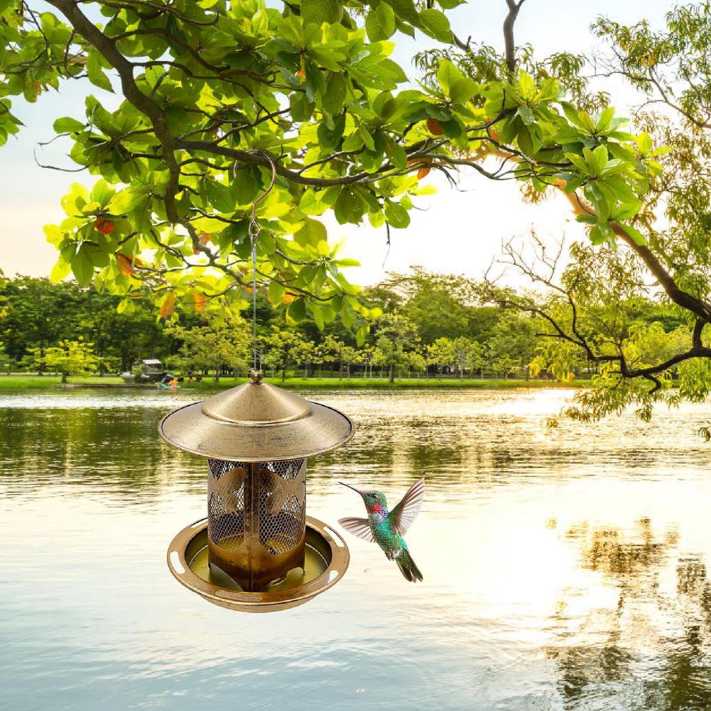 Bird Feeder Feeding Tool Compact with Hook Versatile Iron Lightweight Feed Container Decoration for