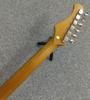 Bacchus TAC24 Electric Guitar Bacchus STD-RSM/M PTL-SOB