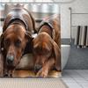 Adorable Bloodhound Puppy Shower Curtain, Waterproof Fabric With Hooks, Multiple Sizes Unique Pet Design For Bathroom Decor