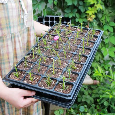 Didelės talpos tvirtas augalų auginimo padėklas plastikinis praktiškas daugiafunkcis sodinimo vazonas namams