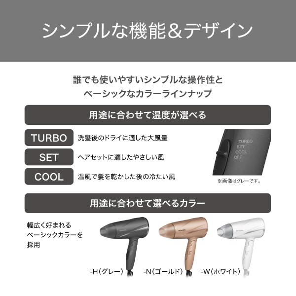 Tescom Protect Ion Hair Dryer, Foldable, High Airflow, Lightweight, Cold and Warm Air, White, TD360A-W