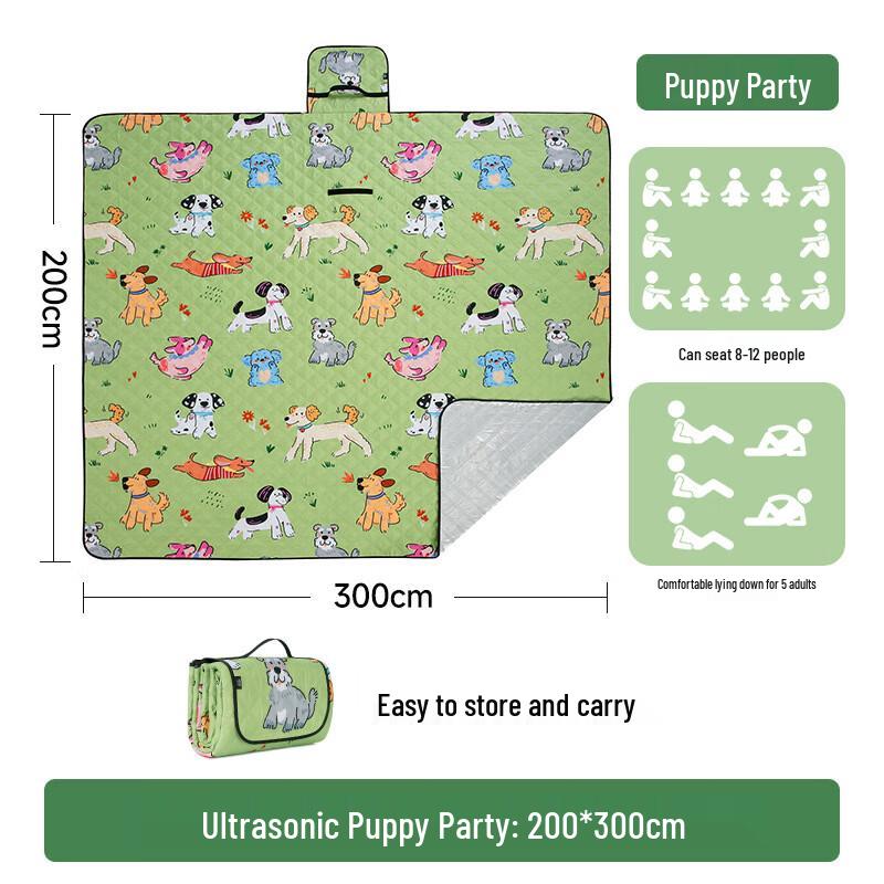 Portable Outdoor Picnic & Camping Mat 200x300cm