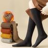 Calze, collant e calzetteria – Scaldamuscoli, gambaletti e leggins