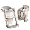 Foldable Toddler Potty & Step Ladder