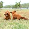 South American Coati Raccoon Plush Doll Animal Cushion Birthday Children Present