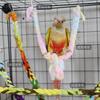 Hamster Climbing Ladder Honey Bag Squirrel Climbing Rope Bird Toy Parrot Colored Cotton Rope Standing Pole Suspension Bridge