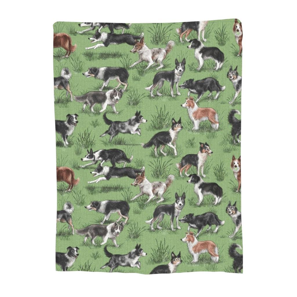 Border Collie Dog Blanket Soft Warm Flannel Throw Blanket Plush for Bed Living Room Picnic Travel Home Couch