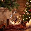 Sturdy Acrylic Holiday Ornaments Zodiac Christmas Ornament Twelve Sign Hanging Decoration 2D Collectible Horoscope Pendant for Xmas Tree,