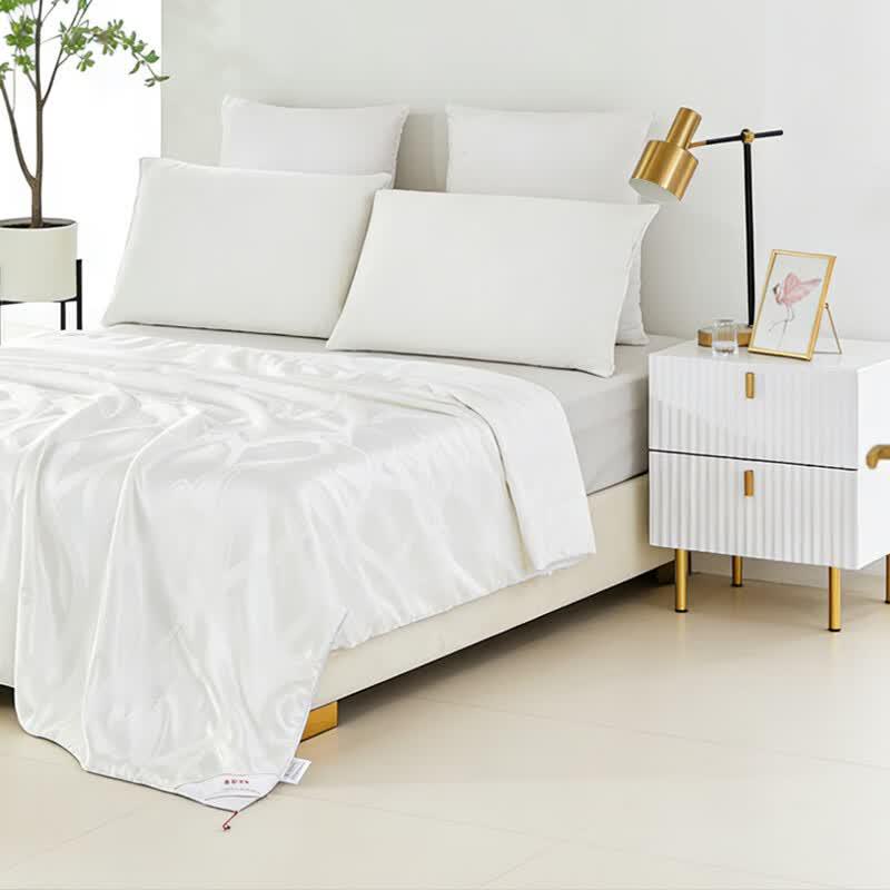 Hengyuanxiang All-Season Antibacterial Tussah Silk Quilt